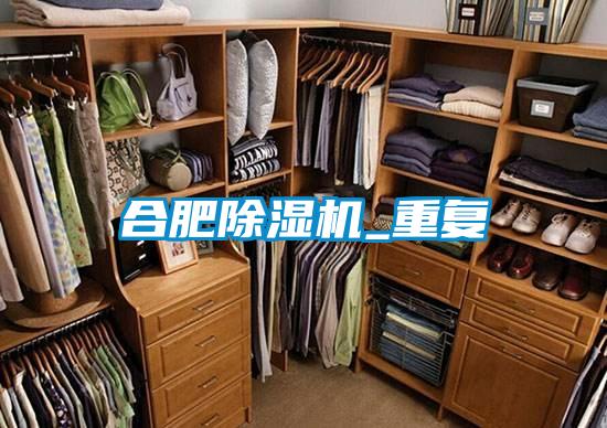 合肥91看片在线下载機_重複
