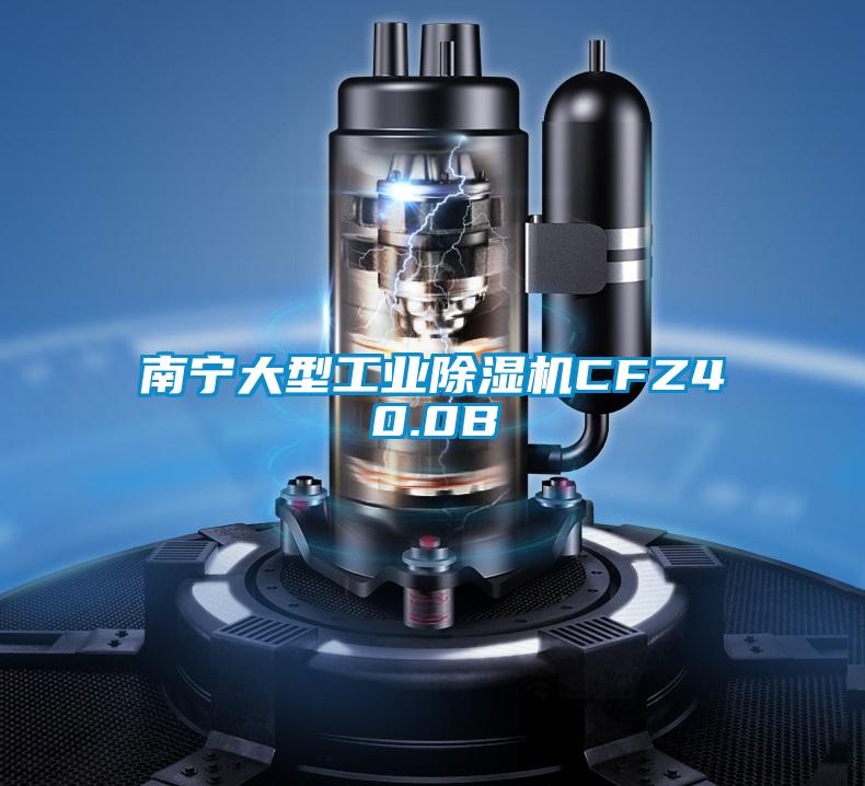 南寧大型工業91看片在线下载機CFZ40.0B