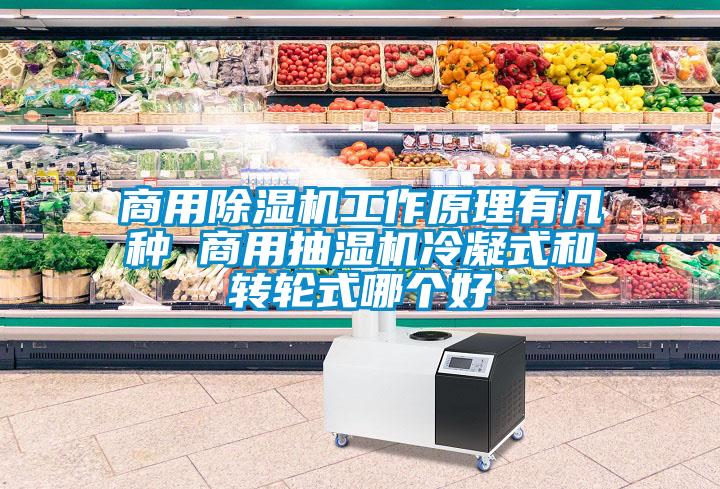 商用91看片在线下载機工作原理有幾種 商用抽濕機冷凝式和轉輪式哪個好