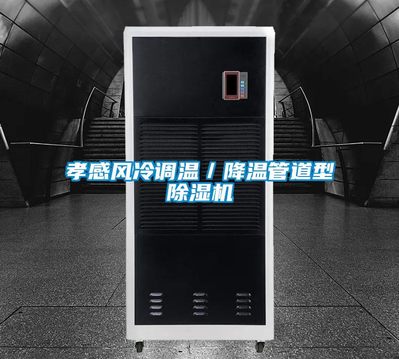 孝感風冷調溫／降溫管道型91看片在线下载機