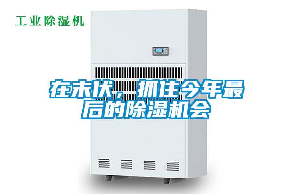 在末伏，抓住今年最後的91看片在线下载機會