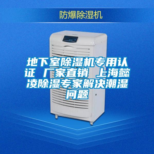 地下室91看片在线下载機專用認證 廠家直銷 上海懿淩91看片在线下载專家解決潮濕問題