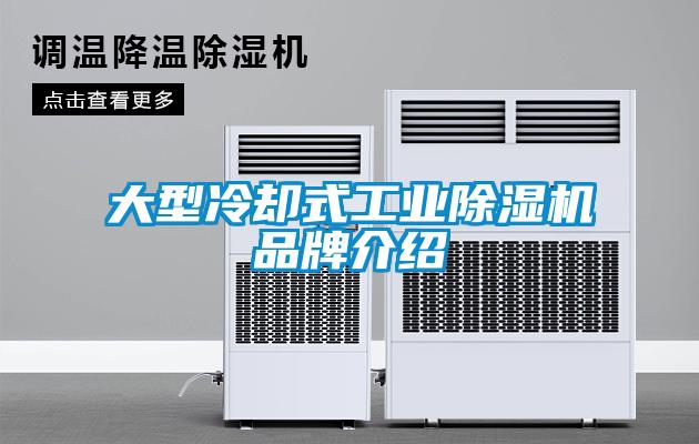 大型冷卻式工業91看片在线下载機品牌介紹