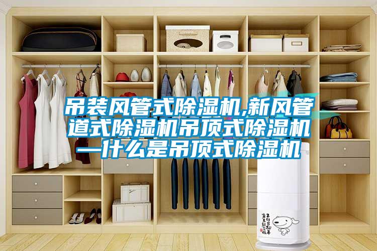 吊裝風管式91看片在线下载機,新風管道式91看片在线下载機吊頂式91看片在线下载機—什麽是吊頂式91看片在线下载機