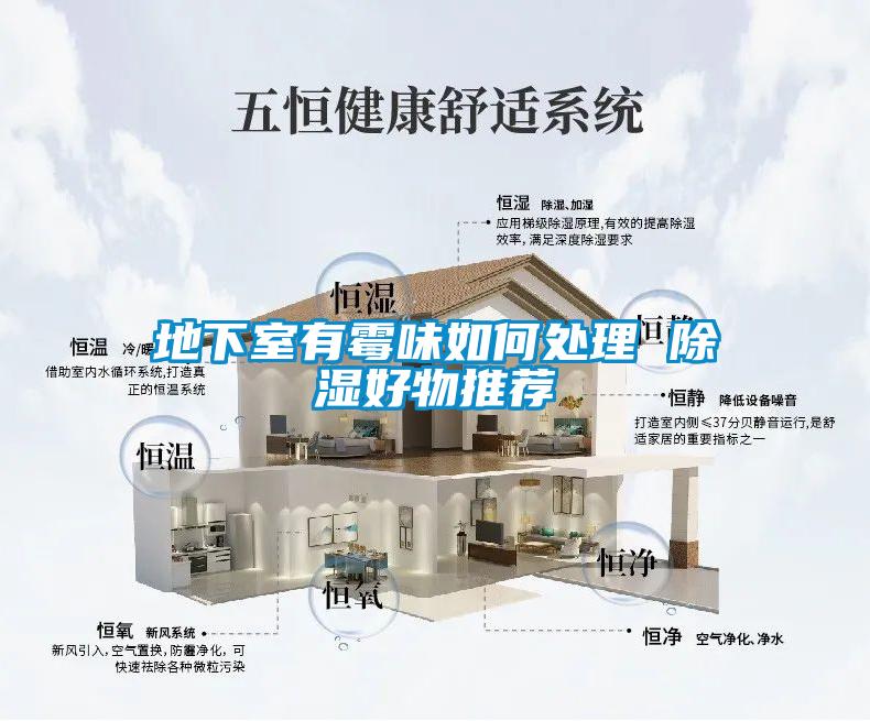 地下室有黴味如何處理 91看片在线下载好物推薦