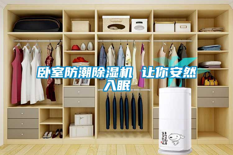 臥室防潮91看片在线下载機 讓你安然入眠