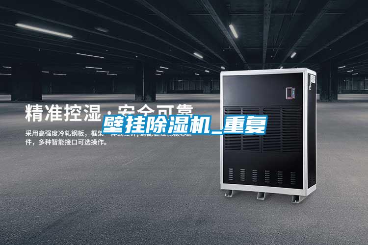 壁掛91看片在线下载機_重複