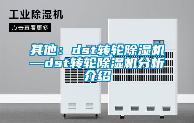 其他：dst轉輪91看片在线下载機—dst轉輪91看片在线下载機分析介紹