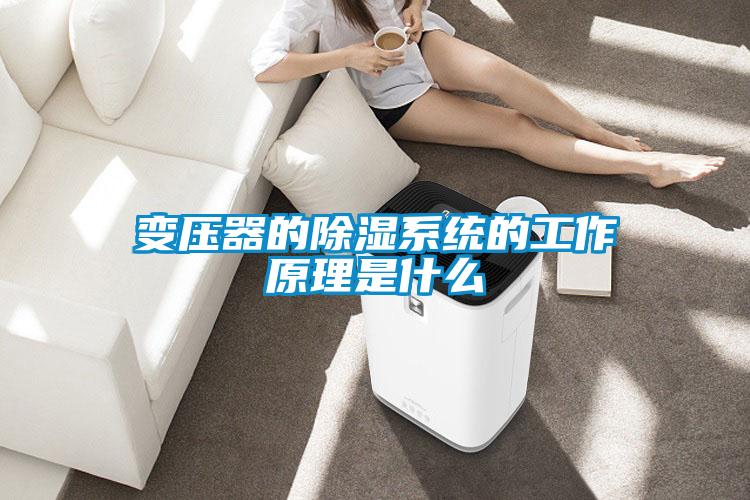 變壓器的91看片在线下载係統的工作原理是什麽