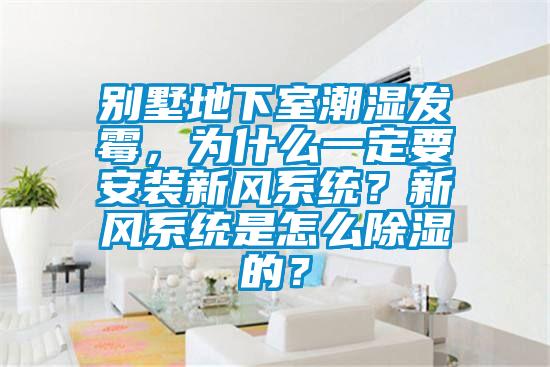 別墅地下室潮濕發黴，為什麽一定要安裝新風係統？新風係統是怎麽91看片在线下载的？