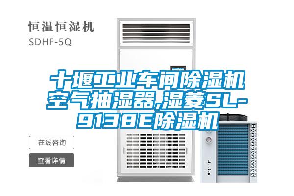 十堰工業車間91看片在线下载機空氣抽濕器,濕菱SL-9138E91看片在线下载機