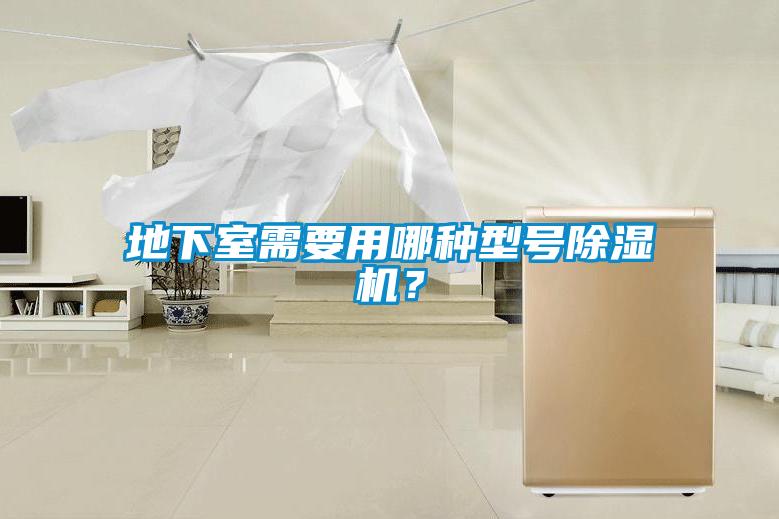 地下室需要用哪種型號91看片在线下载機？