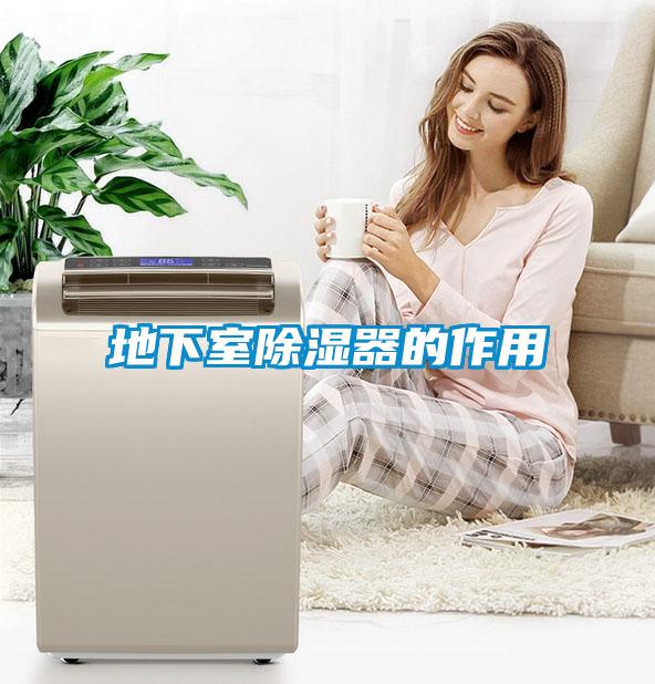 地下室91看片在线下载器的作用