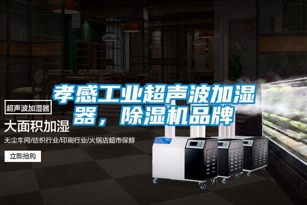 孝感工業超聲波加濕器，91看片在线下载機品牌