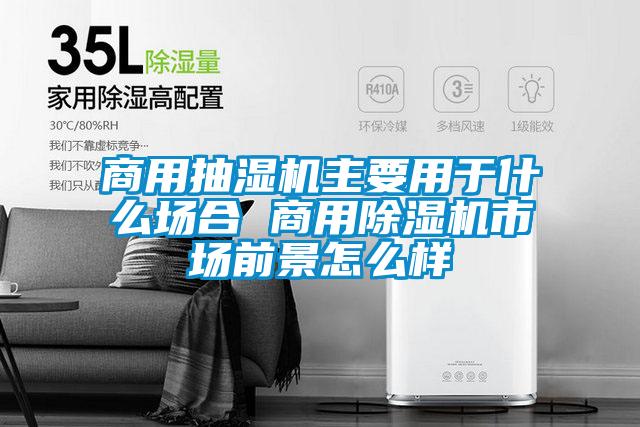商用抽濕機主要用於什麽場合 商用91看片在线下载機市場前景怎麽樣