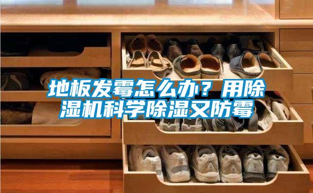地板發黴怎麽辦？用91看片在线下载機科學91看片在线下载又防黴