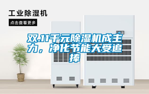 雙.11千元91看片在线下载機成主力，淨化節能大受追捧