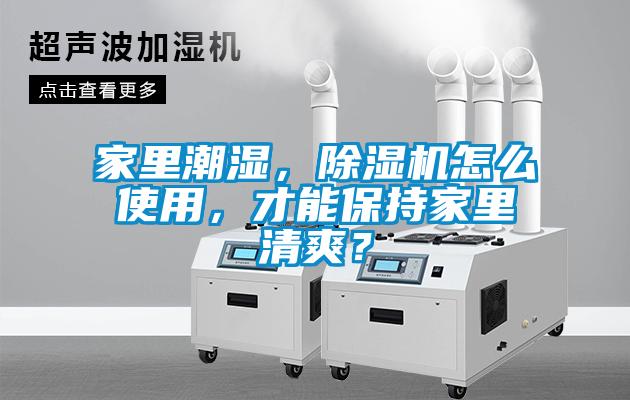 家裏潮濕，91看片在线下载機怎麽使用，才能保持家裏清爽？