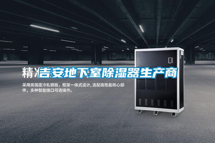 吉安地下室91看片在线下载器生產商