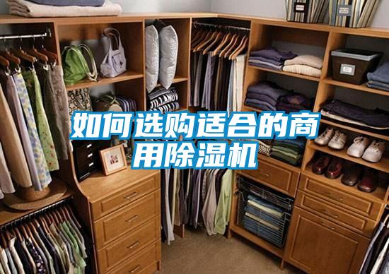 如何選購適合的商用91看片在线下载機