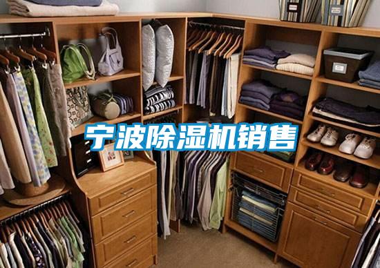 寧波91看片在线下载機銷售
