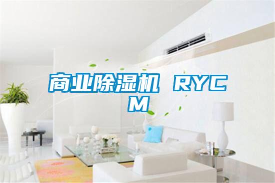 商業91看片在线下载機 RYCM