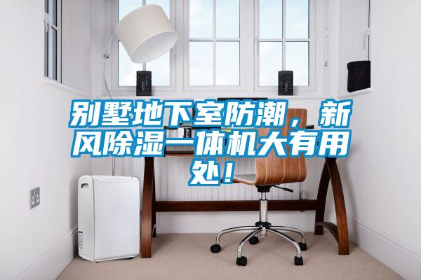別墅地下室防潮，新風91看片在线下载一體機大有用處！