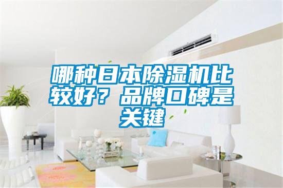哪種日本91看片在线下载機比較好？品牌口碑是關鍵
