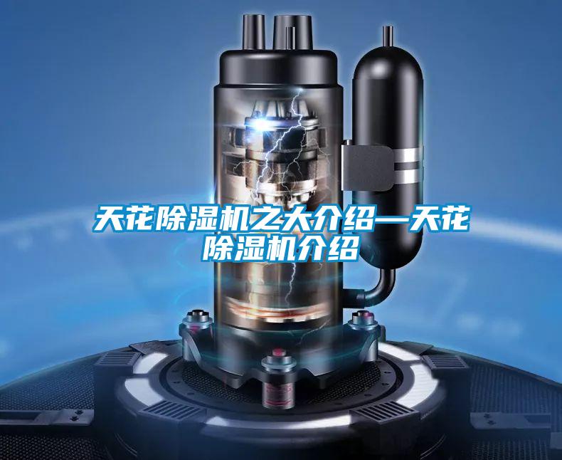 天花91看片在线下载機之大介紹—天花91看片在线下载機介紹