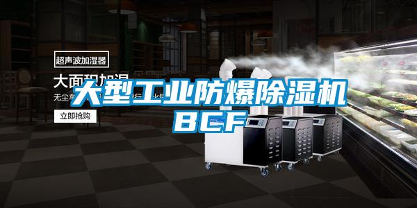 大型工業防爆91看片在线下载機BCF