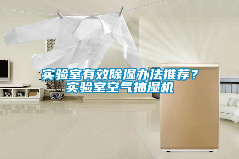 實驗室有效91看片在线下载辦法推薦？實驗室空氣抽濕機