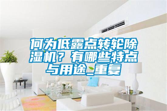 何為低露點轉輪91看片在线下载機？有哪些特點與用途_重複