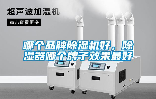 哪個品牌91看片在线下载機好，91看片在线下载器哪個牌子效果最好