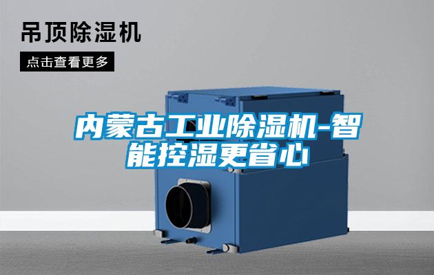 內蒙古工業91看片在线下载機-智能控濕更省心