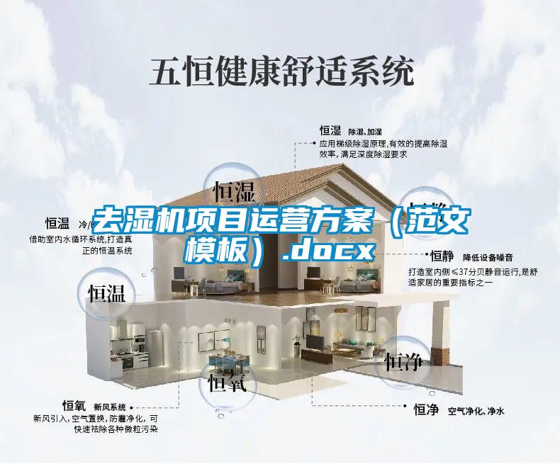 去濕機項目運營免费看片下载（範文模板）.docx
