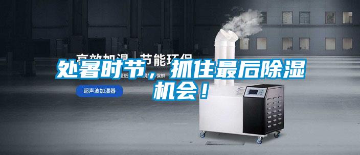 處暑時節，抓住最後91看片在线下载機會！