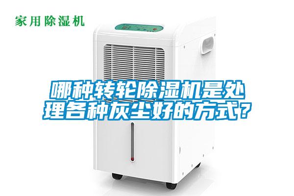 哪種轉輪91看片在线下载機是處理各種灰塵好的方式？