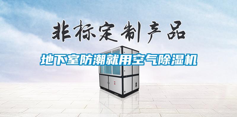 地下室防潮就用空氣91看片在线下载機