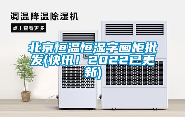 北京恒溫恒濕字畫櫃批發(快訊！2022已更新)