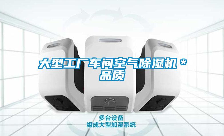 大型工廠車間空氣91看片在线下载機＊品質