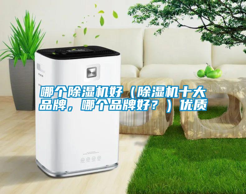 哪個91看片在线下载機好（91看片在线下载機十大品牌，哪個品牌好？）優質