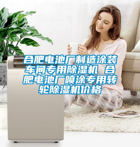 合肥電池廠製造塗裝車間專用91看片在线下载機 合肥電池廠噴塗專用轉輪91看片在线下载機價格