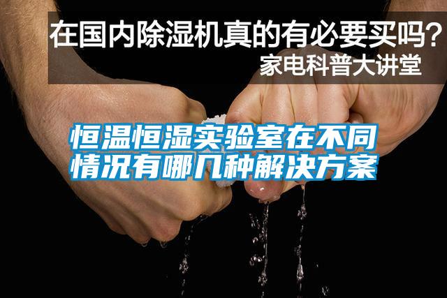 恒溫恒濕實驗室在不同情況有哪幾種解決免费看片下载