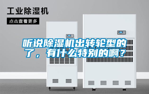 聽說91看片在线下载機出轉輪型的了，有什麽特別的啊？