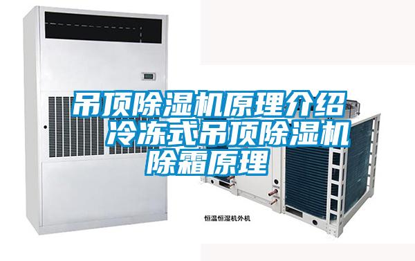 吊頂91看片在线下载機原理介紹  冷凍式吊頂91看片在线下载機除霜原理