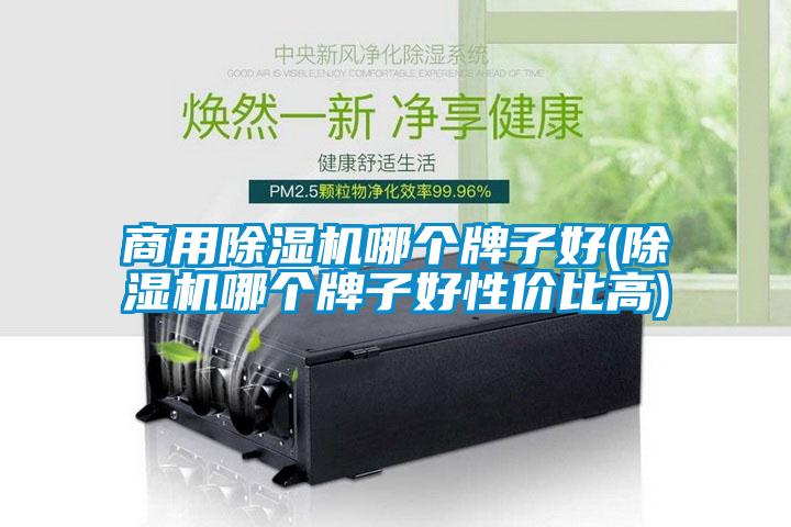 商用91看片在线下载機哪個牌子好(91看片在线下载機哪個牌子好性價比高)