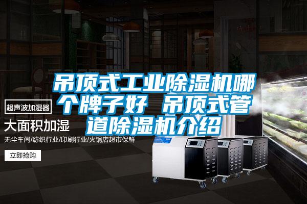 吊頂式工業91看片在线下载機哪個牌子好 吊頂式管道91看片在线下载機介紹