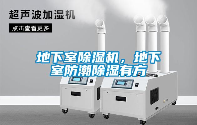 地下室91看片在线下载機，地下室防潮91看片在线下载有方