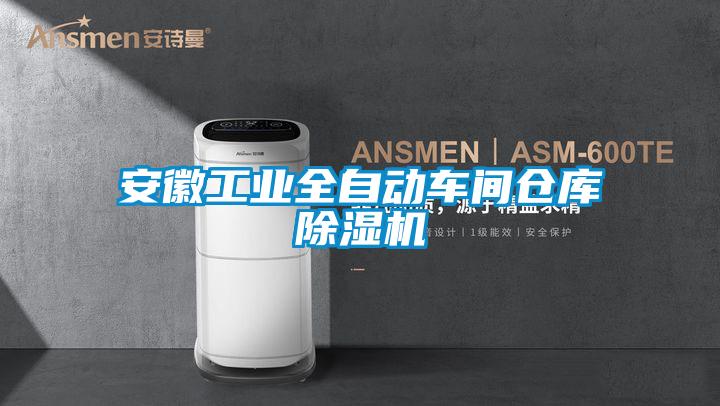 安徽工業全自動車間倉庫91看片在线下载機