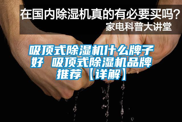 吸頂式91看片在线下载機什麽牌子好 吸頂式91看片在线下载機品牌推薦【詳解】